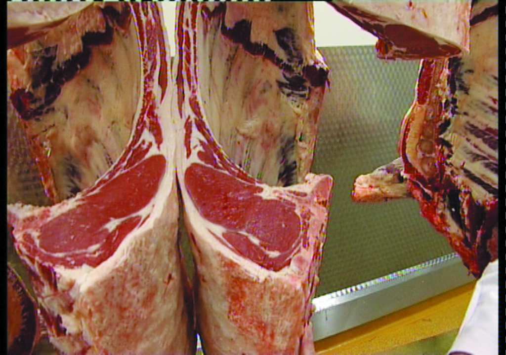 There should be a thin distribution of fat over the eye muscle from the beef carcase. This image shows a beef carcase which is ideal. 
